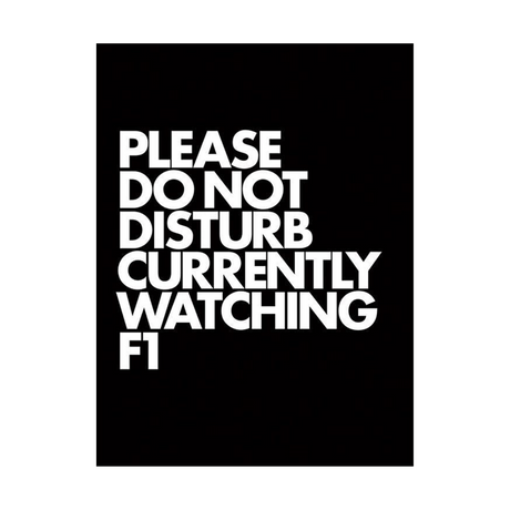 Please Do Not Disturb Currently Watching F1 Poster