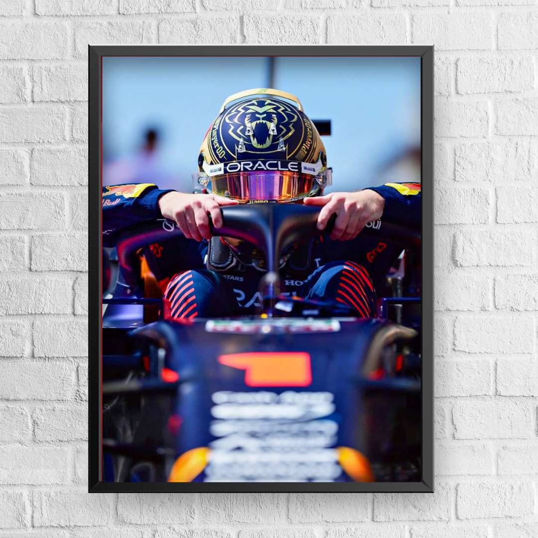 Max Verstappen Qatar Grand Prix 2023 Poster